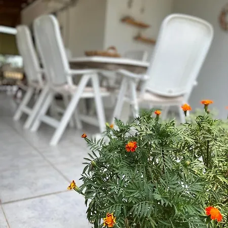 Prázdninový dům G&s House